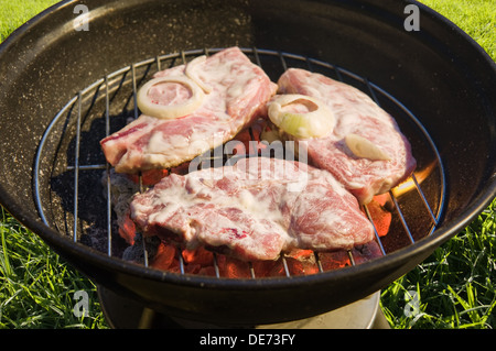 Bollitore barbecue grill con la carne cruda su sfondo di erba Foto Stock