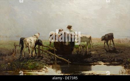 I vitelli in un trogolo. Artista: Maris, Willem (1844-1910) Foto Stock