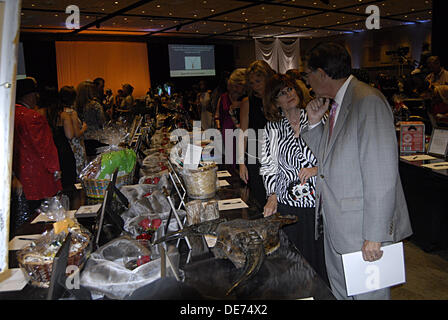 Boise, Idaho, Stati Uniti d'America. 12 settembre 2013. Gli ospiti per il quindicesimo anno ,Idaho Foodbank presenta un affari capi fubdraiser ,sei squadre pof chef provenienti da tutto il settore avrà il compito di preparare il pasto con ogni corso paried con Idaho vino.tra 400 e 500 persone sarà a sua volta per il black tie evento al centro di Boise cenare e vino e per asta silente, tra valutazione è locale celebraty Ms.Lauren Stopher Miss.Idaho 2013 (foto di Francesco Dean / Deanpictures/Alamy Live News Foto Stock