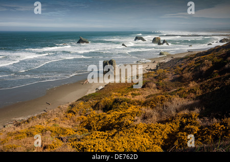 O01157-00...OREGON - Vista nord sulla costa e il molo sud la luce dal punto Coquille in Bandon. Foto Stock