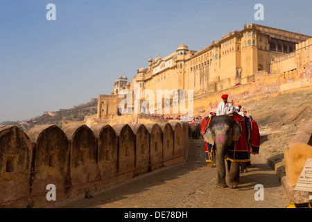 India Rajasthan, Jaipur, gli elefanti al forte amber Foto Stock