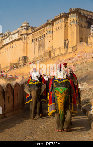 India Rajasthan, Jaipur, gli elefanti al Forte Amber Foto Stock