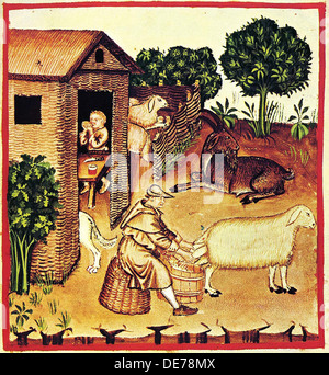 La produzione di formaggio. Una miniatura di Tacuinum Sanitatis, seconda metà del XIV secolo. Artista: Anonimo Foto Stock