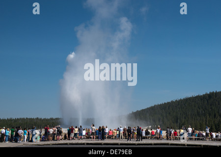 Fotografia di un gruppo di persone che godono di un'eruzione di Yellowstone il geyser Old Faithful. Foto Stock