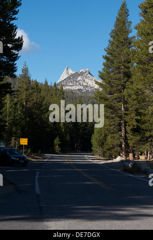 Autostrada 120 (Tioga road) scorre attraverso il Parco Nazionale di Yosemite alta del paese in prati Tuolumne su una calda giornata d'estate in 2013 Foto Stock