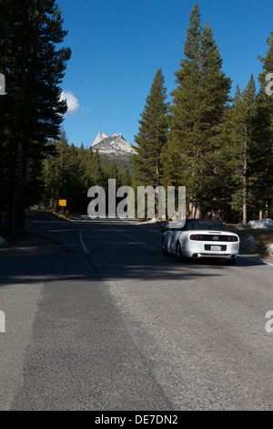 Autostrada 120 (Tioga road) scorre attraverso il Parco Nazionale di Yosemite alta del paese in prati Tuolumne su una calda giornata d'estate in 2013 Foto Stock