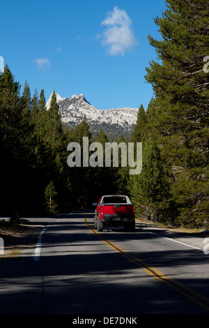 Autostrada 120 (Tioga road) scorre attraverso il Parco Nazionale di Yosemite alta del paese in prati Tuolumne su una calda giornata d'estate in 2013 Foto Stock