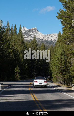 Autostrada 120 (Tioga road) scorre attraverso il Parco Nazionale di Yosemite alta del paese in prati Tuolumne su una calda giornata d'estate in 2013 Foto Stock