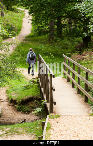 Una persona a piedi lungo un sentiero su un piccolo ponte in New Forest, Regno Unito. Foto Stock