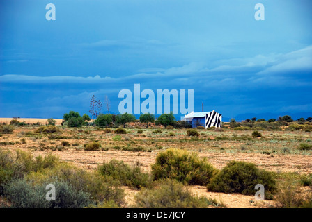 Un lone Zebra rifugio in Karoo, Sud Africa Foto Stock