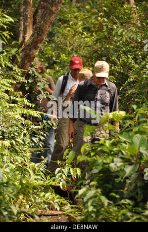 (HANDOUT) un documento datato 05 settembre 2013 mostrano American Hollywood star Harrison Ford (anteriore) durante una visita alla BOS (Borneo Orangutan Survival) Foundation di Nyaru Menteng, Indonesia, 05 settembre 2013. La visita ha avuto luogo come parte della sua ricerca per il documentario "Anni di vivere pericolosamente'. Circa 750 orangutan sono curati dalla protezione degli animali organizzazione. Foto: BOS Foundaton/Indrayana (ATTENZIONE: solo uso editoriale in connessione con la relazione attuale circa con la denominazione della fonte: BOS Foundaton/Indrayana) Foto Stock