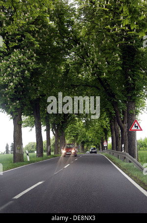 Thyrow, Germania, le automobili sono la guida con le luci accese durante il giorno uno avenue lungo Foto Stock