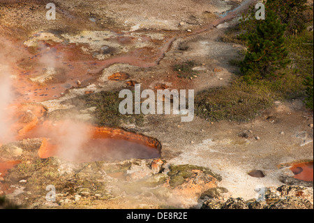 Fotografia dell'artista Paint Pots area trovata nel Parco Nazionale di Yellowstone, Wyoming. Foto Stock