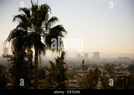 Palm Tree con Skyline e smog in background, Los Angeles, California, Stati Uniti d'America Foto Stock