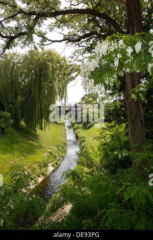 Luenen, Germania, Seseke, tributario del labbro Foto Stock