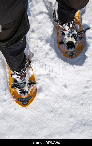 Close up di walker con le racchette da neve a piedi mentre con le racchette da neve in polvere profonda neve in inverno Foto Stock