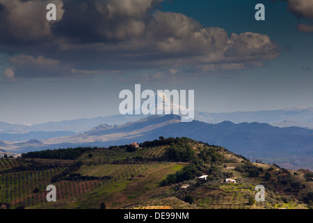 La campagna della regione nei pressi di Segesta in provincia di Trapani, in Sicilia. Foto Stock