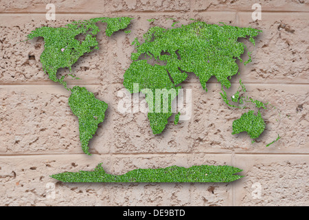 Superficie, pioggia, all'aperto, sfondo, cemento, lichen, mattoni, pietra naturale, crescere, parco, Mossy, umido, mappa, verde terra, rock, leaf Foto Stock