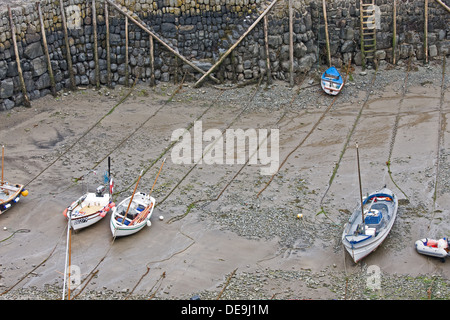 Clovelly, Devon, Inghilterra, Regno Unito Foto Stock