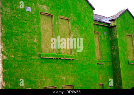 Ebrington Square, Derry, Londonderry, Irlanda del Nord, Regno Unito, 14 Sett. 2013. Un edificio storico e ex esercito britannico sposato trimestri è stata trasformata in una temporanea installazione d arte. Il dark facade di Cunningham edificio in Piazza Ebrington è stato ricoperto da milioni di sementi di erba da artista Dan Harvey e il suo partner Heather Ackroyd al numero. L'installazione, parte della città del Regno Unito la cultura del progetto, è aperta al pubblico dal 15 settembre al 27 ottobre 2013. Credito: George Sweeney / Alamy Live News. Credito: George Sweeney / Alamy Live News Foto Stock