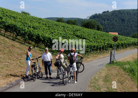 I turisti su E-bikes, Franconia vino rosso sentiero escursionistico nei vigneti di Buergstadt, Bavaraia, Germania Foto Stock