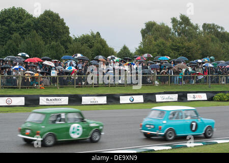 Chichester, West Sussex, Regno Unito. Xiii Sep, 2013. Goodwood. Goodwood Racing circuito, West Sussex - Venerdì 13 Settembre. Spettatori riparo sotto gli ombrelloni durante un periodo di pioggia come racing continua. © MeonStock/Alamy Live News Foto Stock