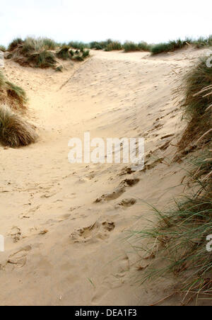 Campanatura, East Sussex, Regno Unito . Xiii Sep, 2013. La spiaggia e la famosa Dune di sabbia a Camber Sands, nr segale, East Sussex. Durante l'estate stelle di Hollywood compreso George Clooney e Matt Damon sono state riprese il loro nuovo WW2 film 'Monuments uomini' sulla posizione su queste dune. © KEITH MAYHEW/Alamy Live News Foto Stock