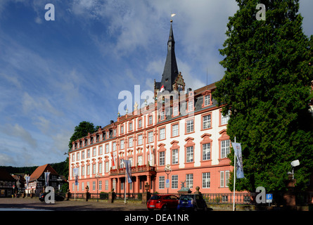 Castello di Erbach foresta di odi, Hesse, Germania Foto Stock