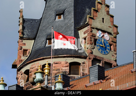 Castello di Erbach foresta di odi, Hesse, Germania Foto Stock