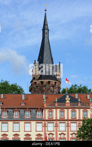 Castello di Erbach foresta di odi, Hesse, Germania Foto Stock