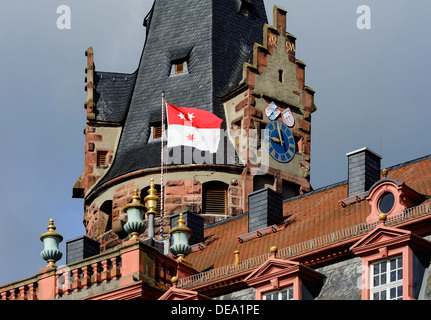 Castello di Erbach foresta di odi, Hesse, Germania Foto Stock