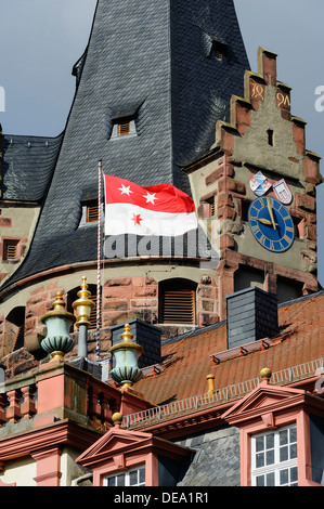 Castello di Erbach foresta di odi, Hesse, Germania Foto Stock