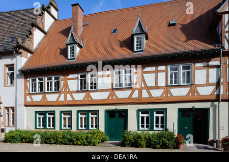 Cortile del Castello nella foresta di Erbach di odi, Hesse, Germania Foto Stock