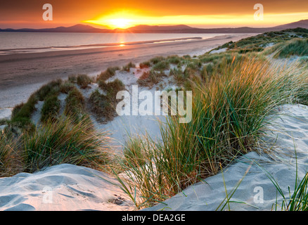 Ultima luce sulle dune di Harlech, Harlech, Parco Nazionale di Snowdonia, Gwynedd, Galles del Nord, Regno Unito Foto Stock