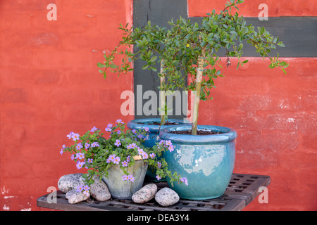 Decorazioni di fiori nella parte anteriore della casa in legno e muratura in Svaneke su Bornholm, Danimarca Foto Stock