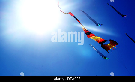 Aquiloni colorati nel luminoso cielo blu Foto Stock