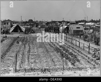 Tratto dall'aeroporto, nei pressi di Modesto, Stanislao County, California. Mostra l'altro lato della strada Conejo . . . 521628 Foto Stock