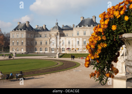 Il Palazzo del Lussemburgo a Parigi in Francia - Il fuoco selettivo sui fiori Foto Stock