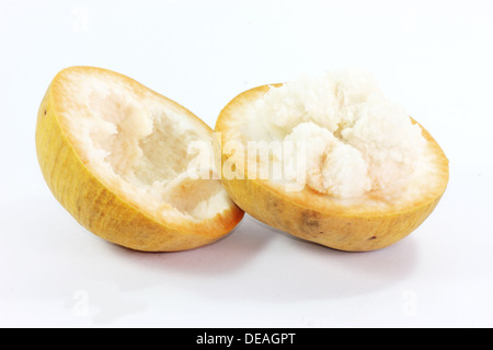 Fresca frutta santol Riccia fluitans sandoricum koetjape specie S. koetjape isolati su sfondo bianco Foto Stock