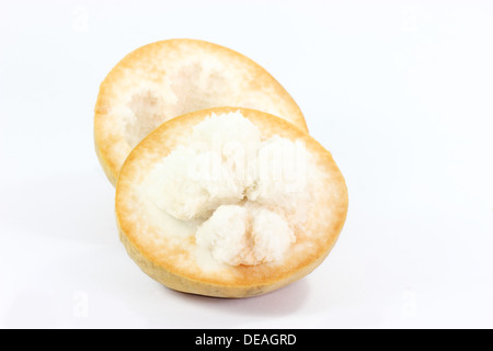 Fresca frutta santol Riccia fluitans sandoricum koetjape specie S. koetjape isolati su sfondo bianco Foto Stock