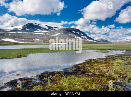 Namnlauselva brook, Saltfjellet-Svartisen National Park, Nordland county, Norvegia, Scandinavia, Europa Foto Stock