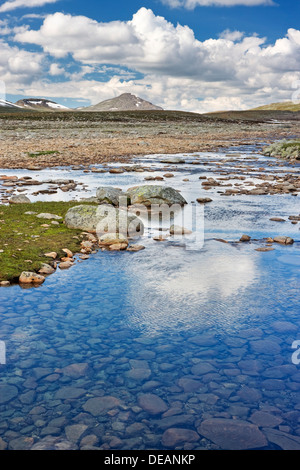 Namnlauselva brook, Saltfjellet-Svartisen National Park, Nordland county, Norvegia, Scandinavia, Europa Foto Stock