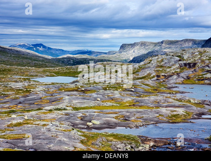 Paesaggio vicino Bajep Tjuorvvomoajvve, Rago National Park, Nordland county, Norvegia, Scandinavia, Europa Foto Stock