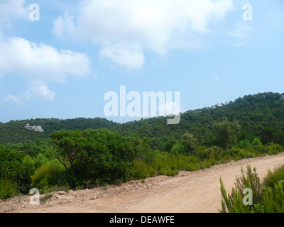 Ile de Porquerolles,Var,Provence-Alpes-Côte d'Azur,Francia Foto Stock