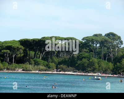 Ile de Porquerolles,Plage d'Argent,Var,Provence-Alpes-Côte d'Azur,Francia Foto Stock