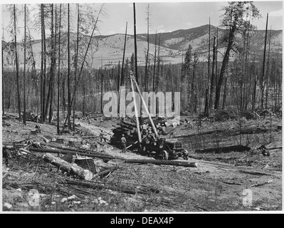 Slavage identificarsi in corso sulla Tunk Creek unità di registrazione nel NE angolo del Colville Prenotazione. In 298688 Foto Stock