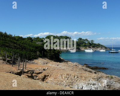 Ile de Porquerolles,Plage d'Argent,Var,Provence-Alpes-Côte d'Azur,Francia Foto Stock