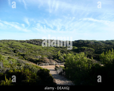 Ile de Porquerolles,Var,Provence-Alpes-Côte d'Azur,Francia Foto Stock