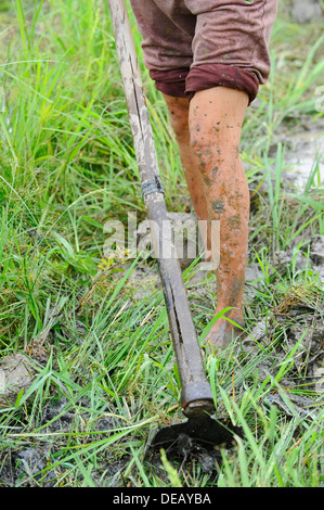 Lavoro vietnamita in un fango di riso paddy campo utilizzando metallo la zappa e indossando scarpe n. Foto Stock