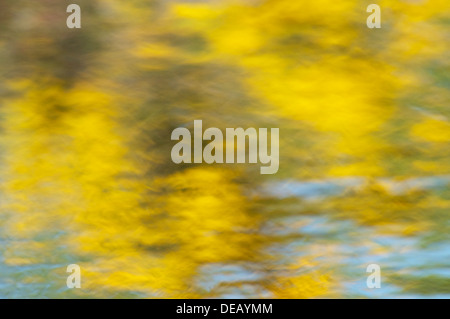 Arne riflessioni abstract Foto Stock